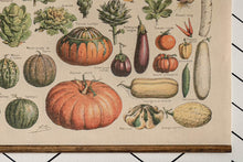 Load image into Gallery viewer, Fall Vegetables - Pretty In Polka Dots